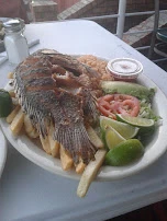 Tilapia