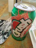 Watermelon Crush